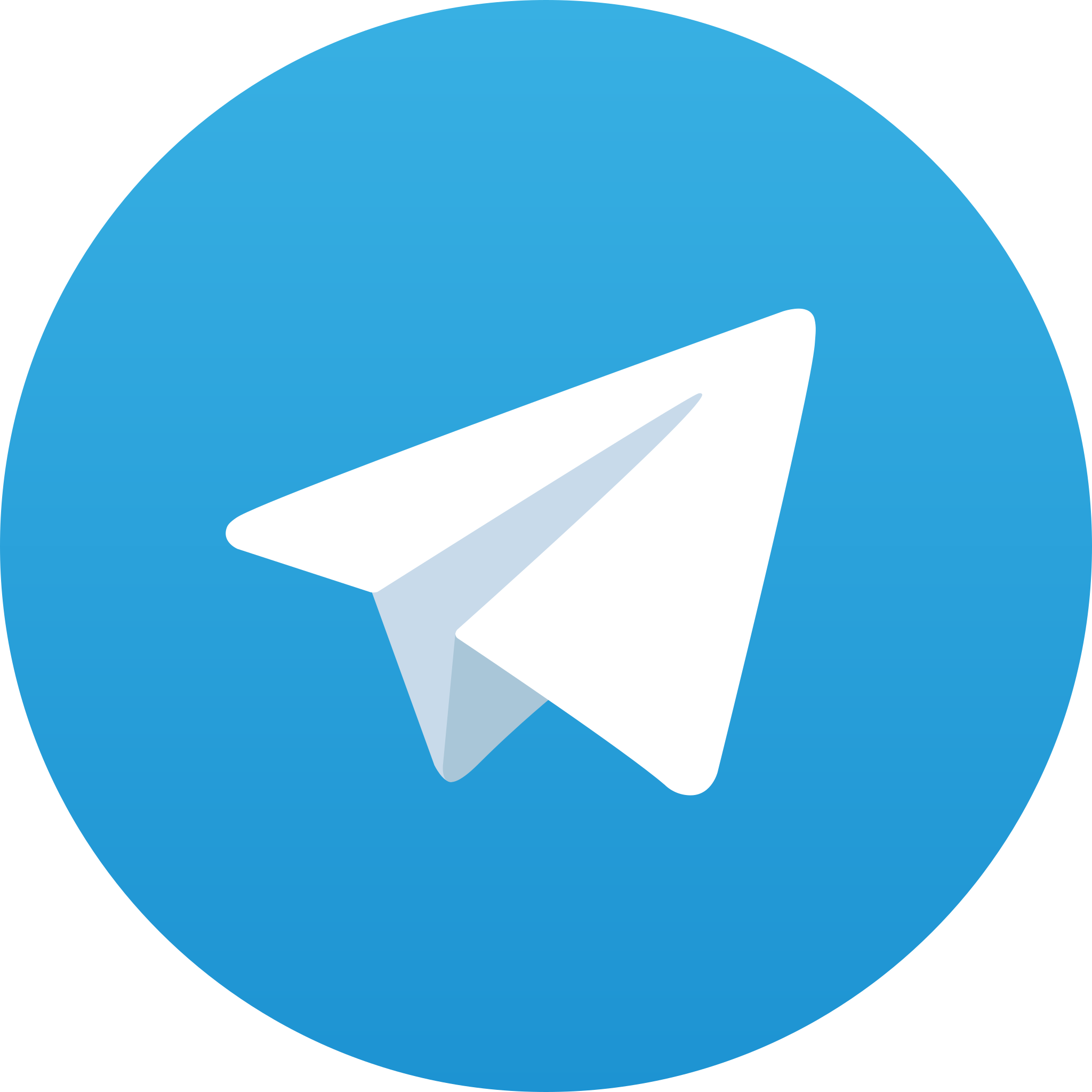 Telegram logo